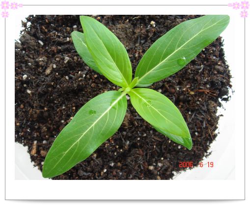 �ҵ����մ�