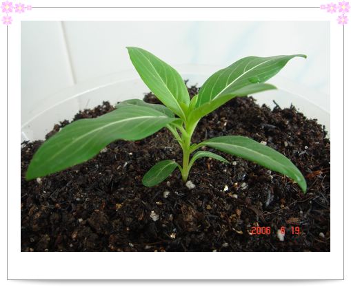 �ҵ����մ�