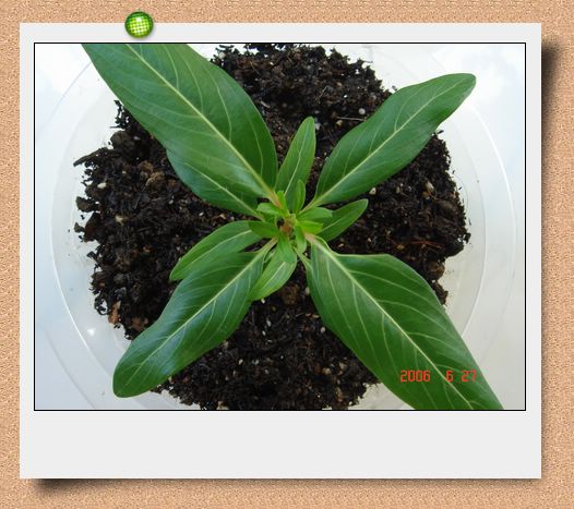 �ҵ����մ�