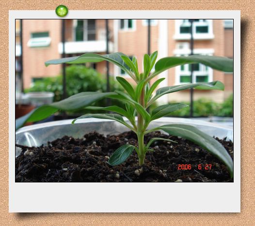 �ҵ����մ�