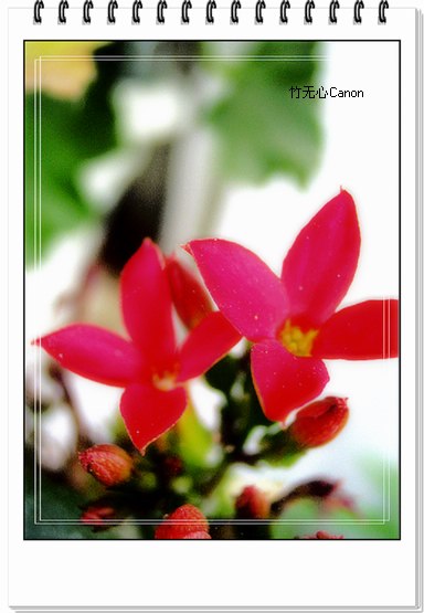 ��Щ�����ֿ��Ļ�...