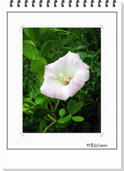 ��Щ�����ֿ��Ļ�...