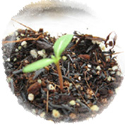 [ԭ��]�����ռ�