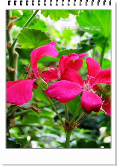 ���ȵ���������..