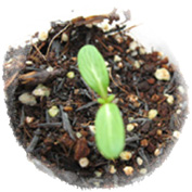 [ԭ��]�����ռ�