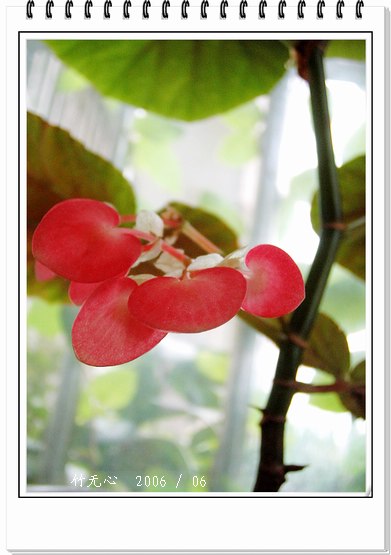 ���ȵ���������..