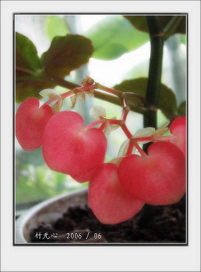 ���ȵ���������..