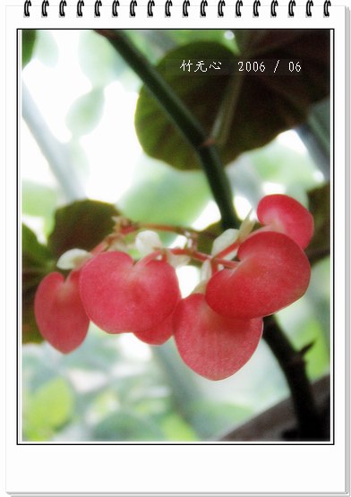 ���ȵ���������..