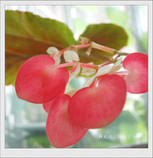 ���ȵ���������..