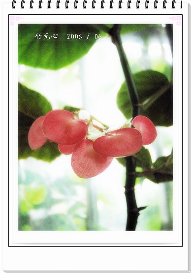 ���ȵ���������..