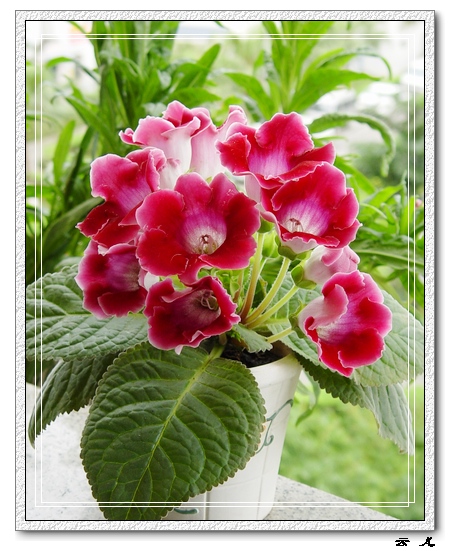 ����ͩ����