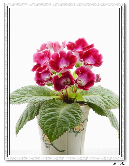 ����ͩ����