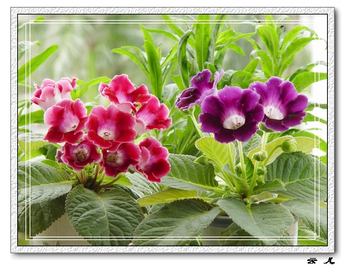 ����ͩ����