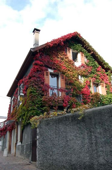 ������������(�����У������Ȳ�Ҫ����