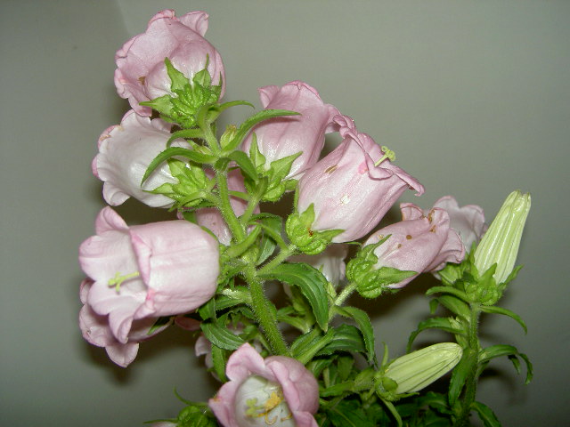 ���˿��ˣ����ڿ���