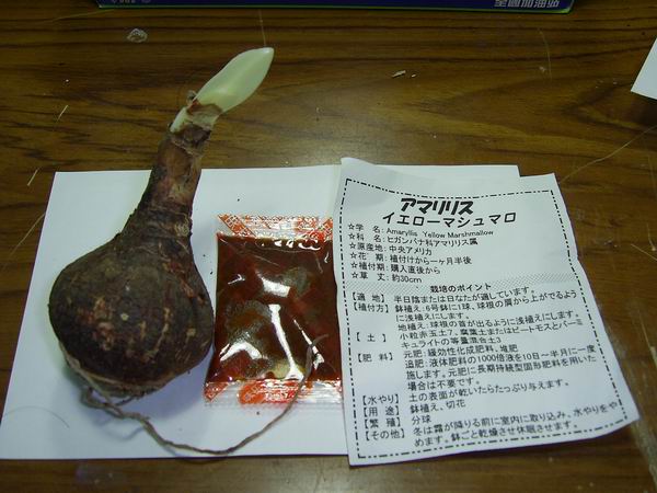 ���춥�죭����ɫ�޻��ǣ�ת����