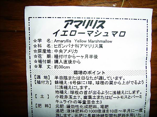 ���춥�죭����ɫ�޻��ǣ�ת����