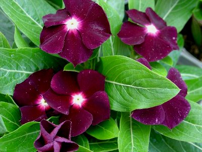 �����ķ���,���ÿ�(P3�������մ�PP)