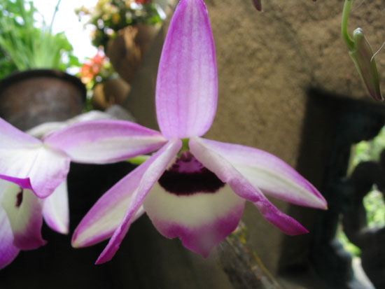 ����ҡҷ�Ķ���