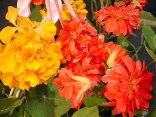 ��������~~�ذ꺵����