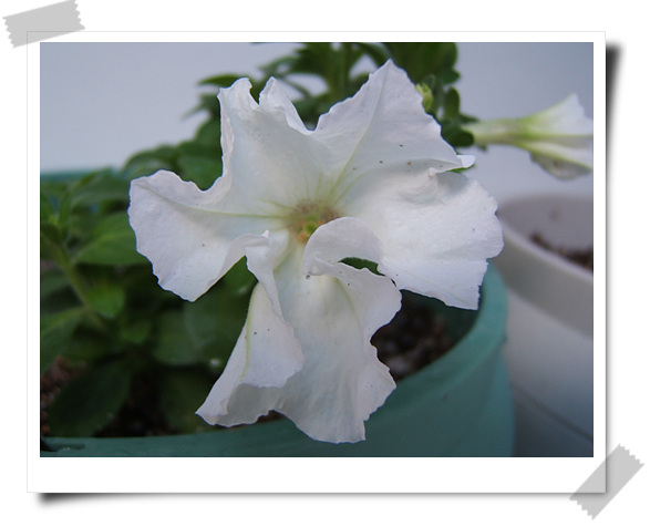 ��������~~�ذ꺵����