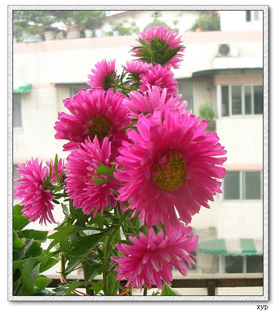 ����ʶ�Ļ�����(���)