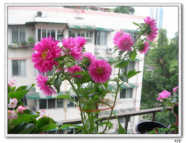 ����ʶ�Ļ�����(���)