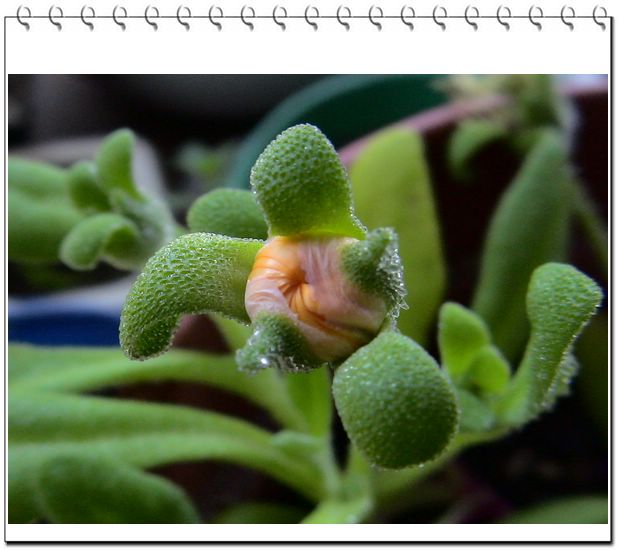 06��һЩ����--��ɫ���л�