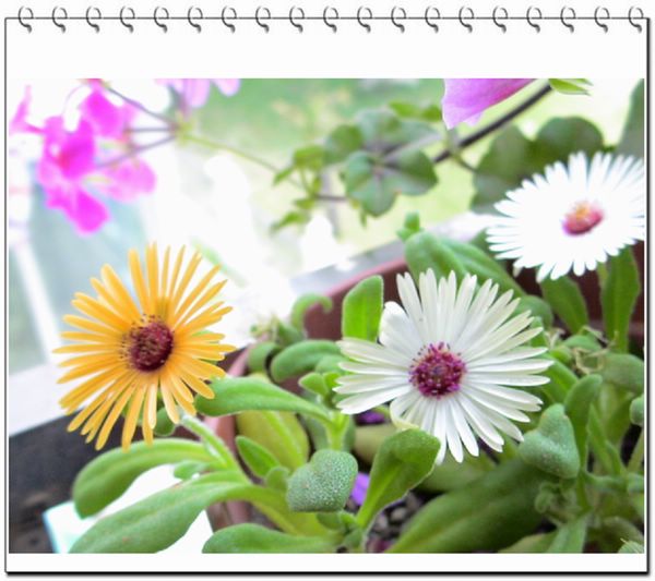 06��һЩ����--��ɫ���л�