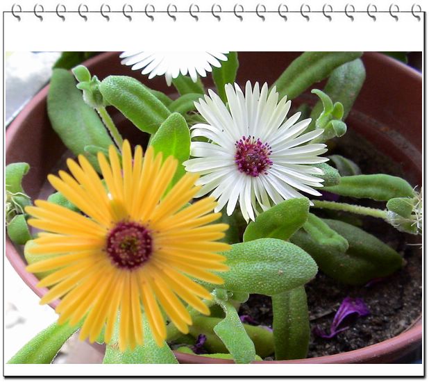 06��һЩ����--��ɫ���л�