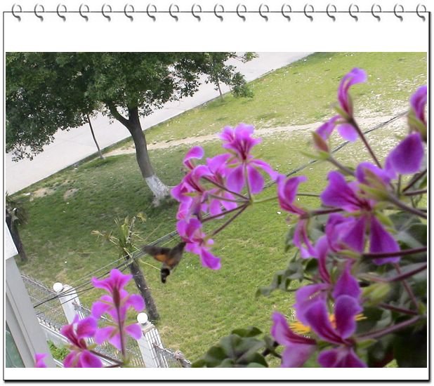 06��һЩ����--��ɫ���л�