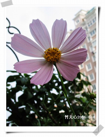 ��ɫ��˹��