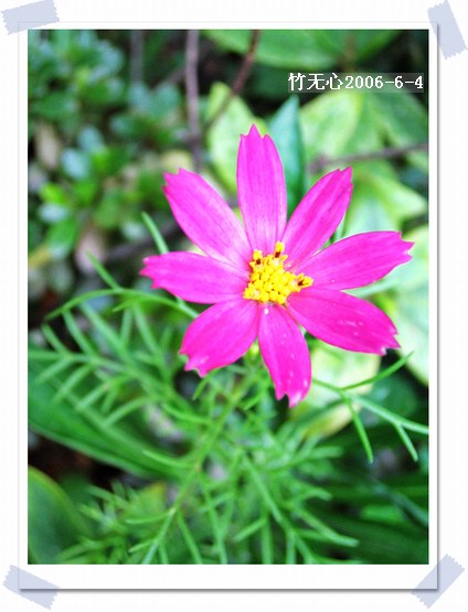 ��ɫ��˹��