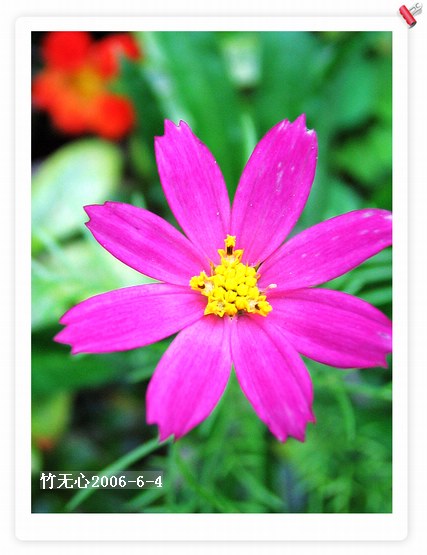 ��ɫ��˹��