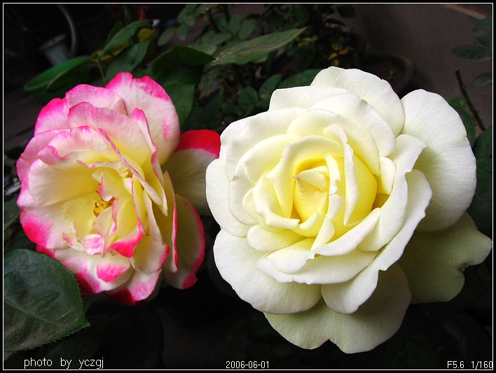 �¼�---------�ٹ⣡