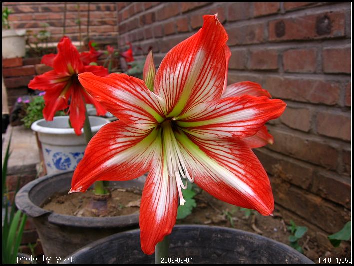 ���ҵ��죡~~~