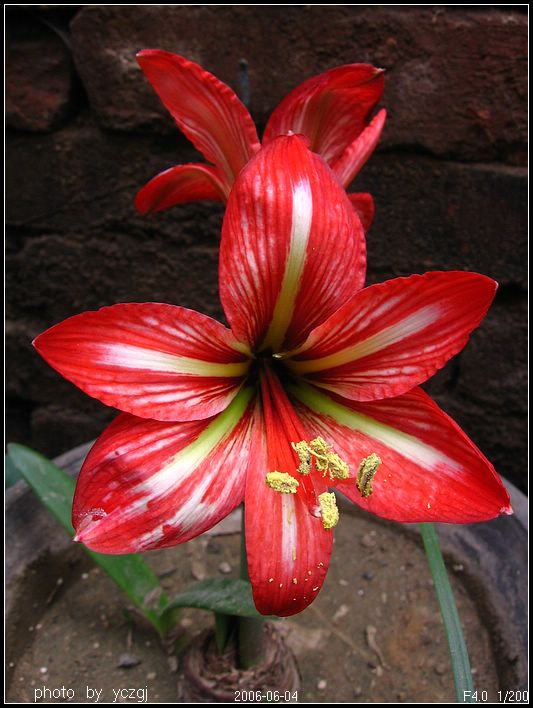 ���ҵ��죡~~~