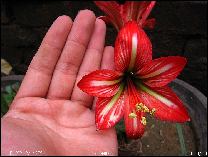 ���ҵ��죡~~~