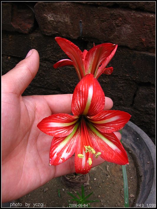 ���ҵ��죡~~~