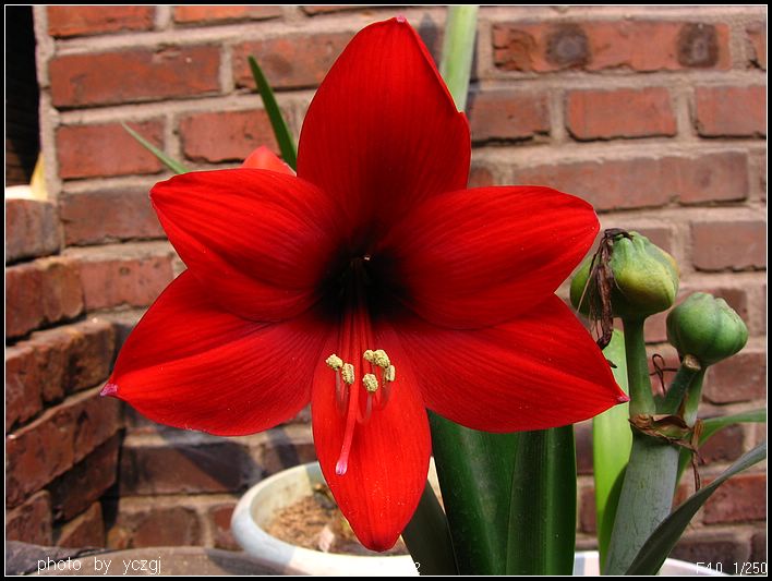 ���ҵ��죡������.�����춥�죿��