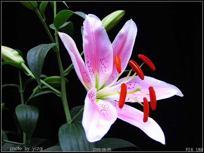 ����İٺϣ�~�����ڰٺϿ��ˣ�