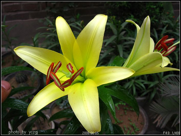 ����İٺϣ�~�����ڰٺϿ��ˣ�