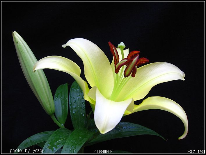 ����İٺϣ�~�����ڰٺϿ��ˣ�