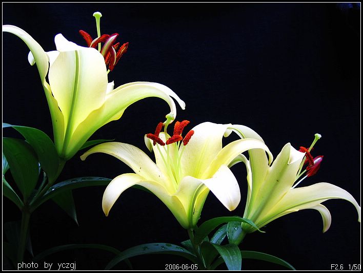 ����İٺϣ�~�����ڰٺϿ��ˣ�