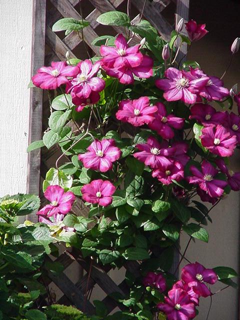 ����������