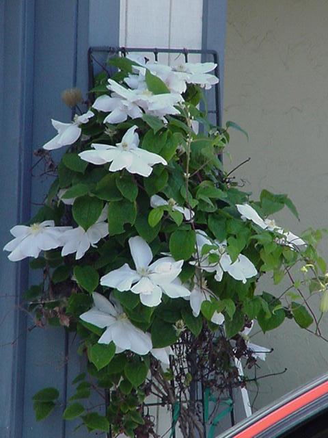 ����������