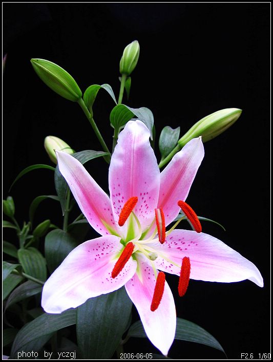 ����İٺϣ�~�����ڰٺϿ��ˣ�