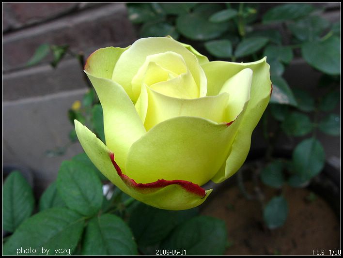 �¼�---------�ٹ⣡