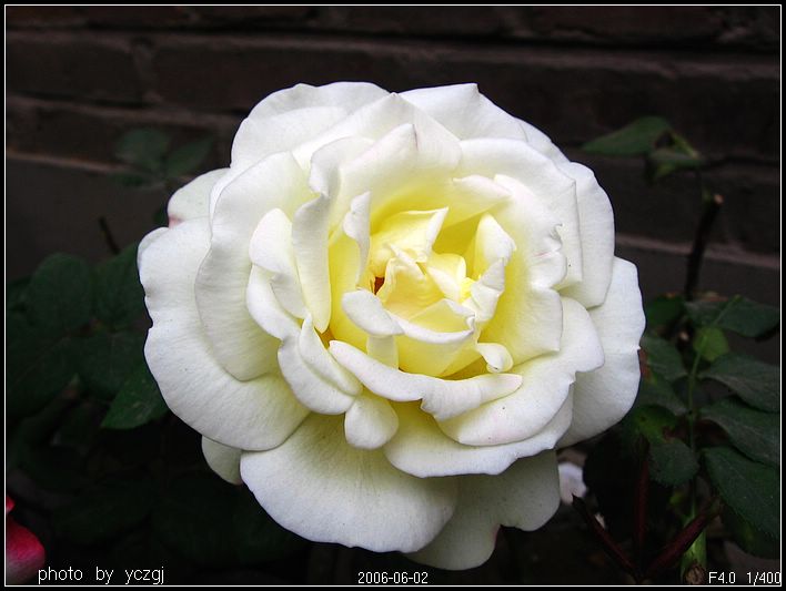 �¼�---------�ٹ⣡