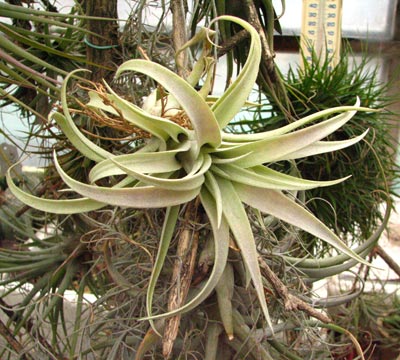 ���Ͷ̾���������Ҷ����